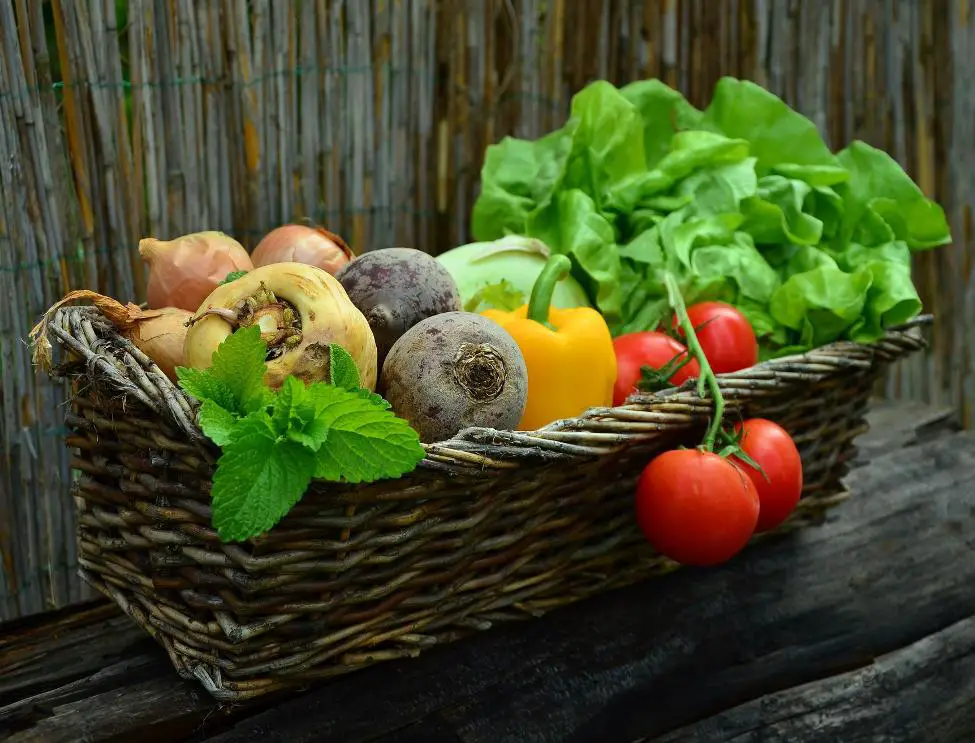 healthy vegetables in a basket