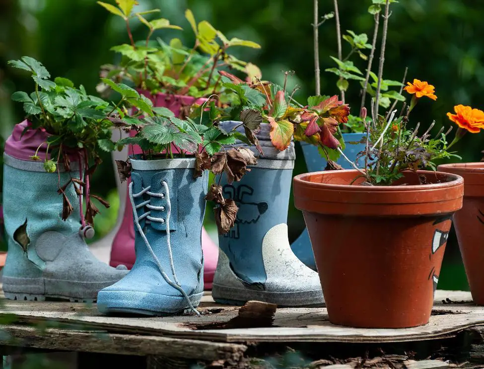 10 best innovative gardening ideas