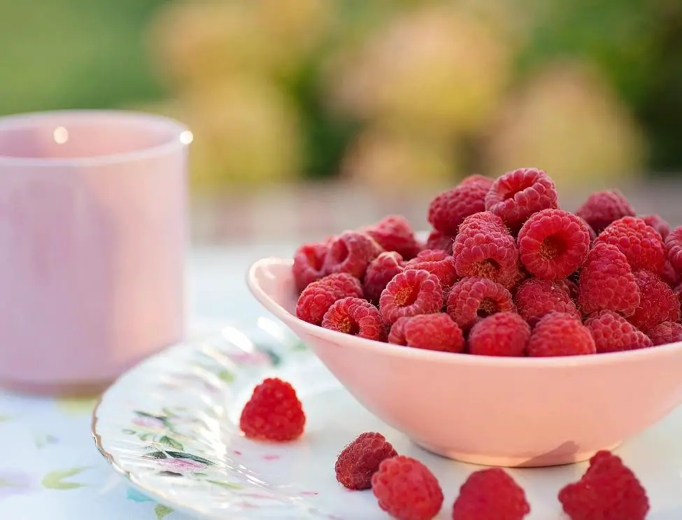 Best Companion Plants for Raspberries