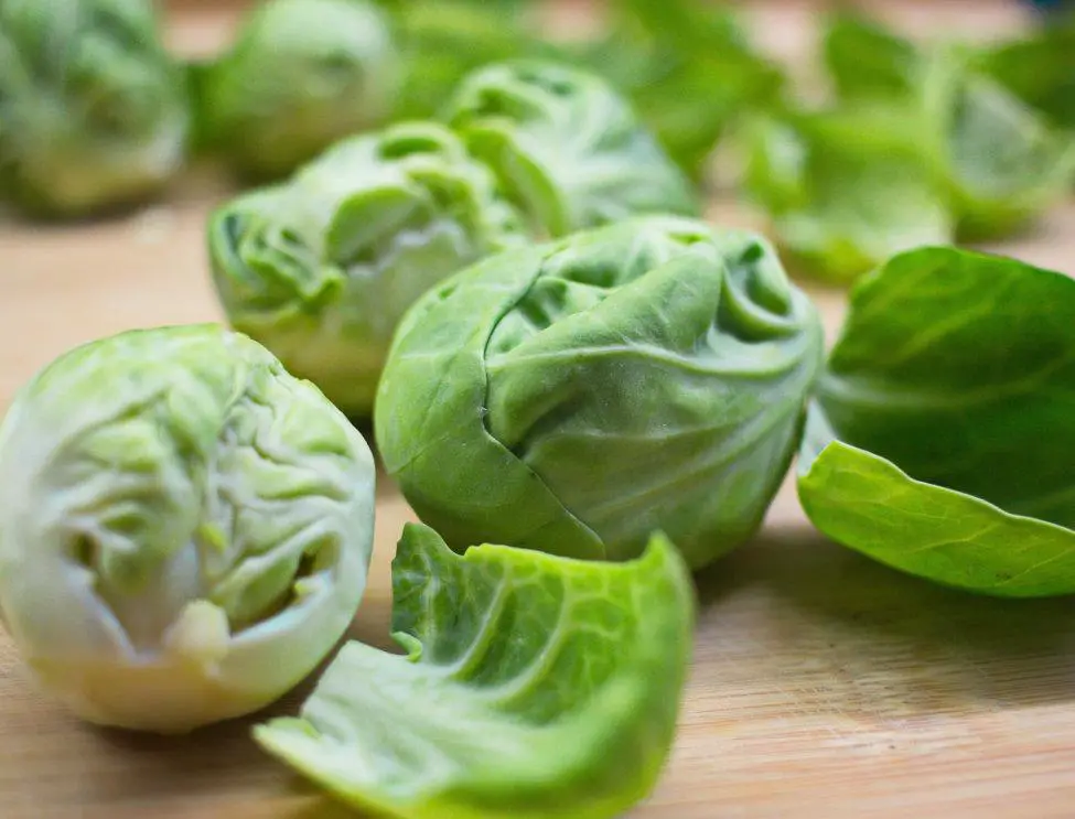 How to Grow Brussels Sprouts in Containers