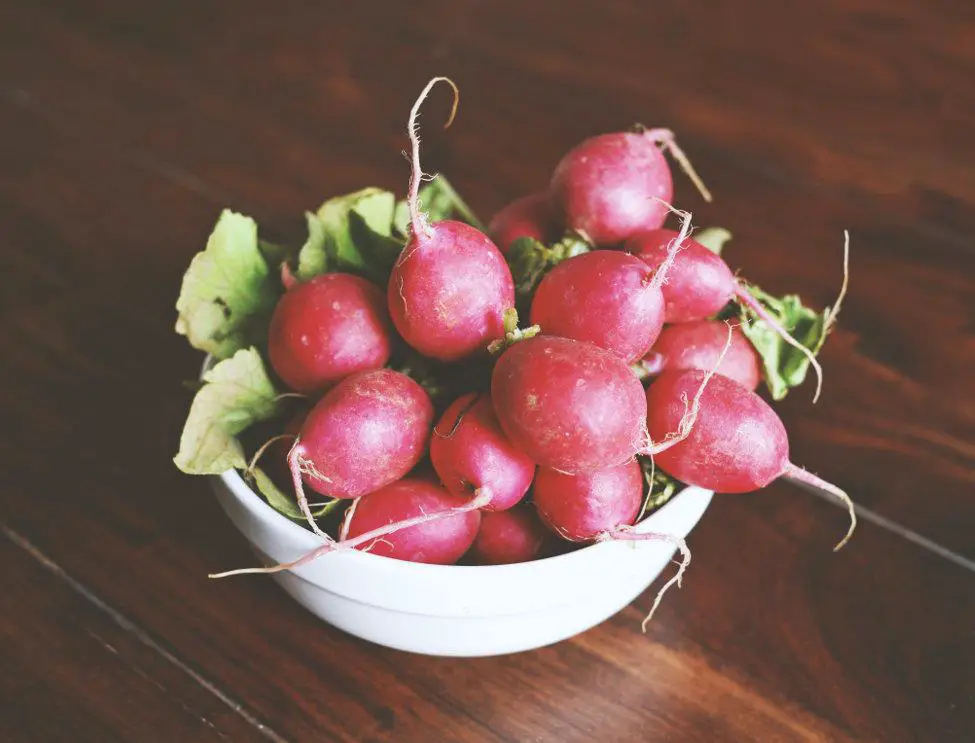 How to Grow Radishes in Containers