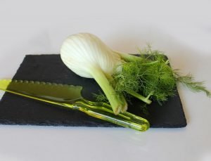 Best Companion Plants for Fennel