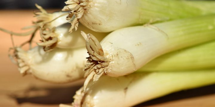 How to Grow Leeks in Containers