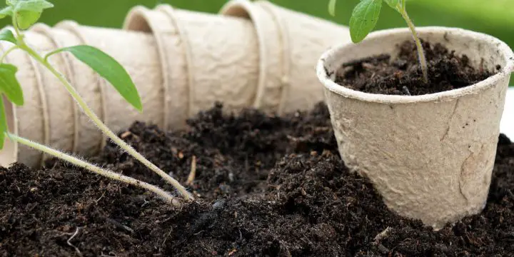 Alternatives to using plastic in gardening