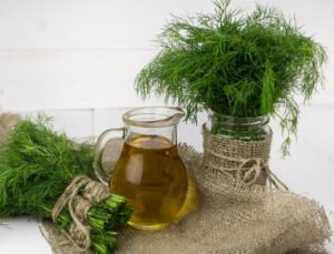 How to grow dill in containers